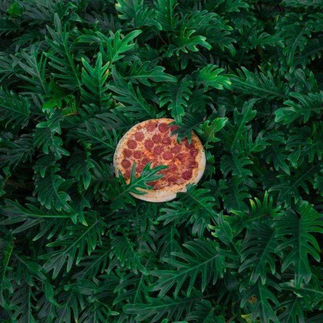 pizza in the wild 5