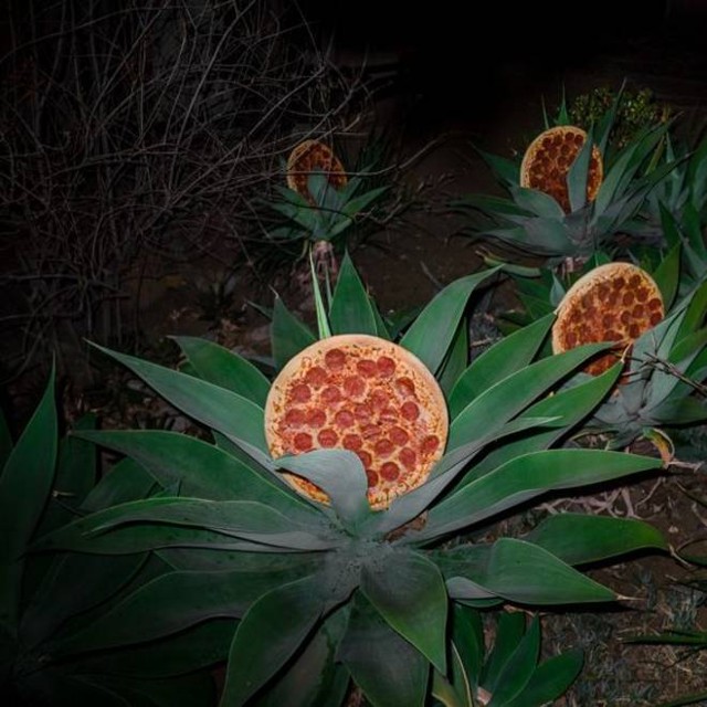 pizza in the wild 8