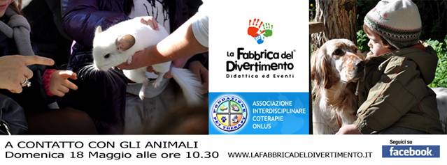 fabbrica del divertimento