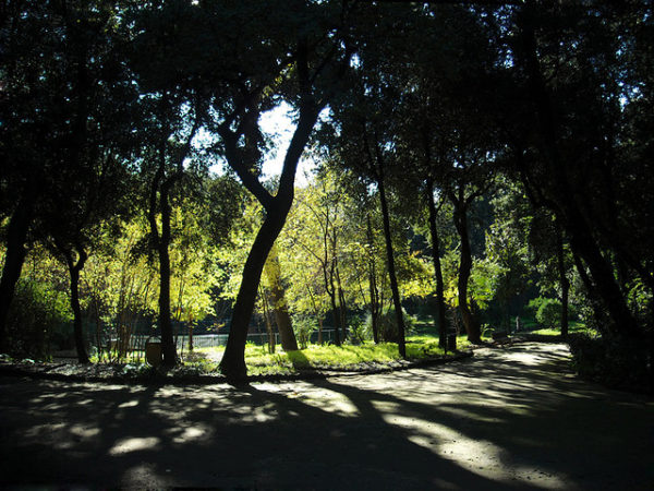 bosco di portici