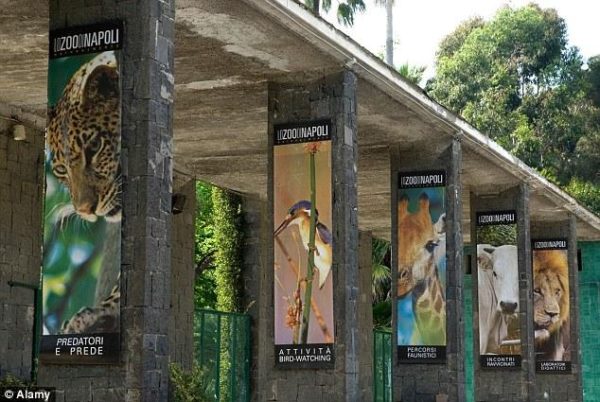 Ingresso Zoo di Napoli