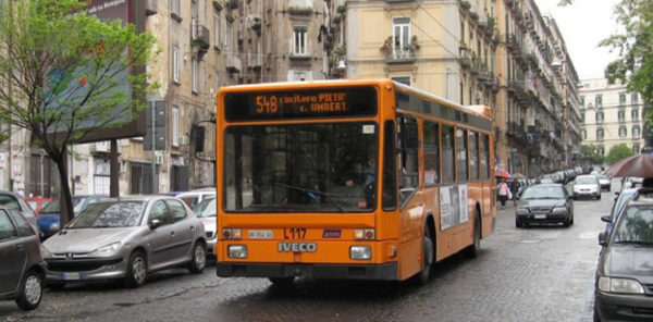 bus-anm