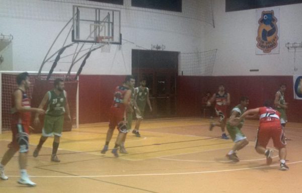 Basket TDG