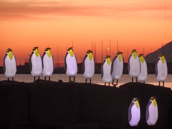 Luci d'Artista - pinguini