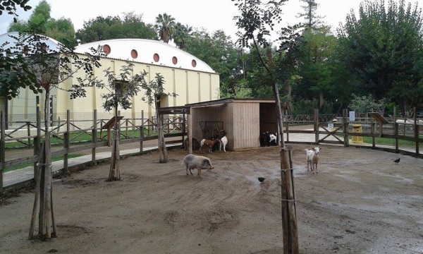 Zoo di Napoli - particolare dell'area fattoria 