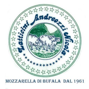 andreozzi logo