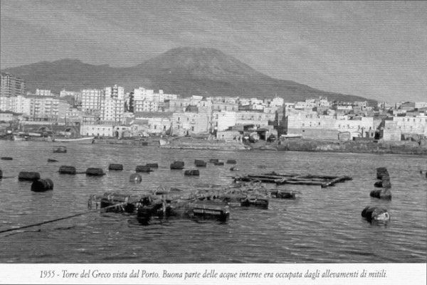 1955-Torre-del-Greco-dal-Porto