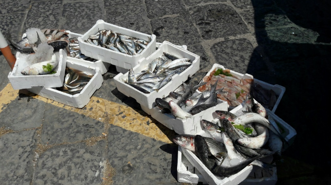 sequestro pesce torre greco