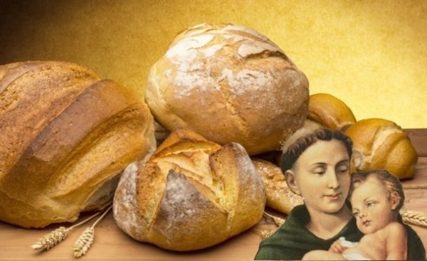 festa sant'antonio napoli