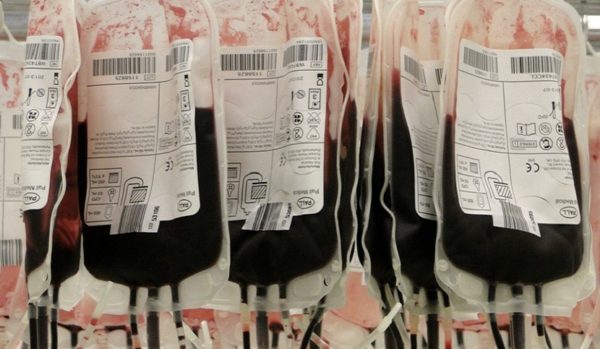 sacche sangue trasfusione