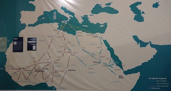 Migrando,gridando, sognando2