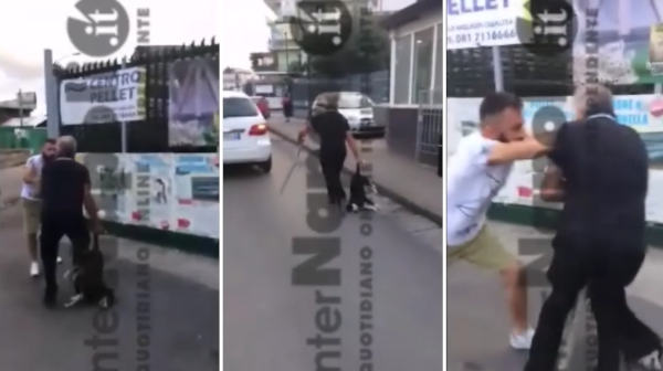 melito cane bastonate