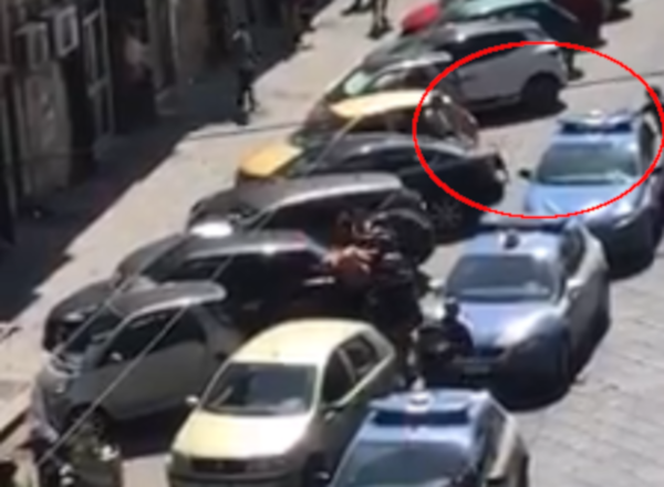 pitbull ucciso poliziotto napoli pitbull ucciso poliziotto napoli