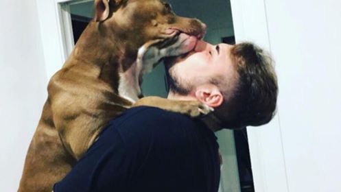 giuseppe menale morto tifoso del napoli giuseppe menale morto tifoso del napoli