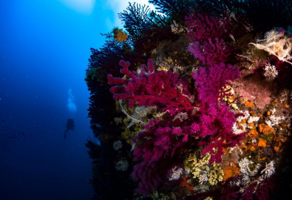 regno di nettuno regno di nettuno
