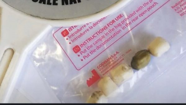 spacciatore napoli spacciatore napoli