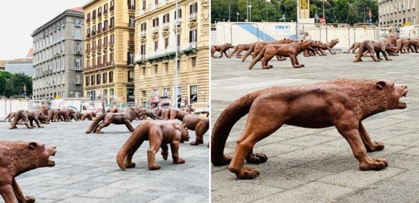 wolves coming 100 lupi napoli liu ruowang