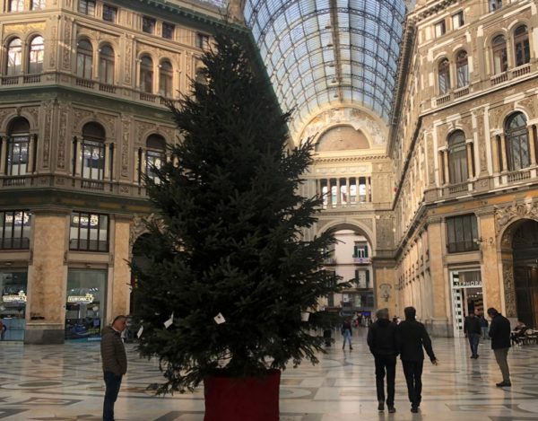 albero galleria umberto