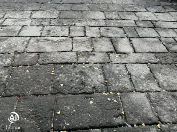 tortellini sposi bolognesi casina vanvitelliana