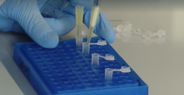 coronavirus test rapidi