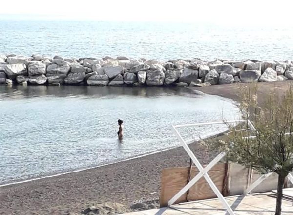 bacoli miliscola coronavirus