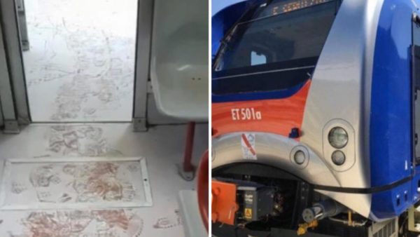 vandalizzano eav vandalizzano eav