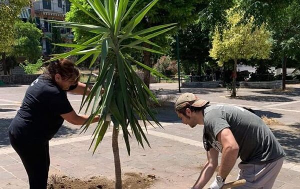 pulizia piazza bisignano