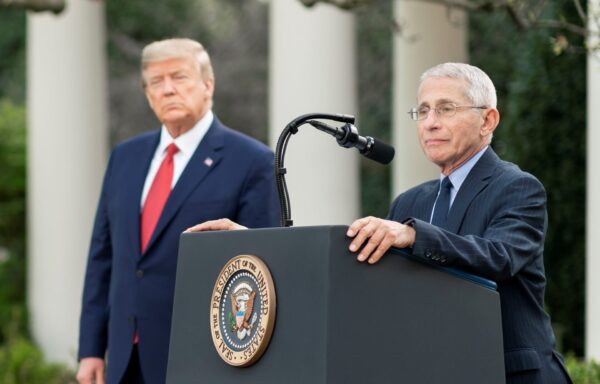 anthony fauci donald trump