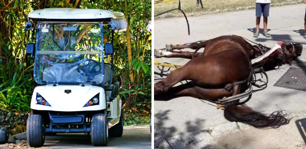 reggia caserta auto elettriche