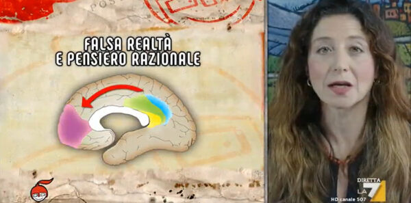 negazionismo Gallavotti