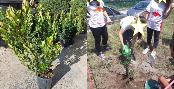 associazione primaurora