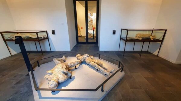 antiquarium pompei 2