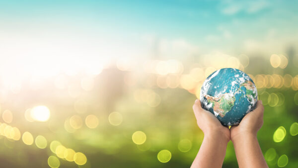 time vision campania green