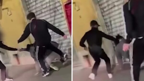 aggressione transgender borrelli