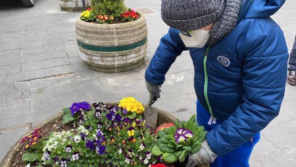 matteo calvizzano fiori