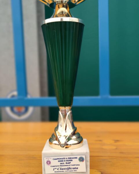 Atlete di Torre del Greco vincono il Campionato Regionale di Ginnastica Serie D