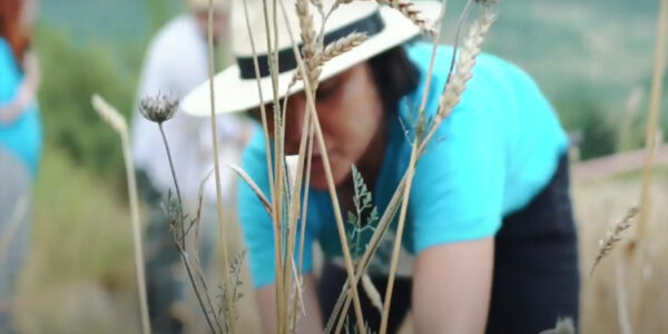 MANN, Federico II Invitalia