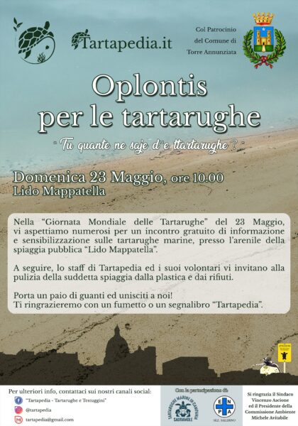 pulizia lido mappatella torre annunziata tartapedia