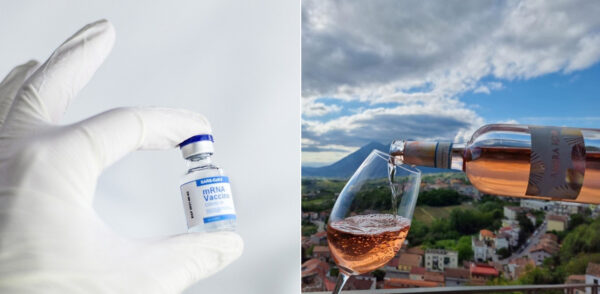 vaccini in cantina benevento