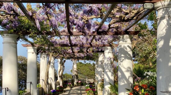 riapertura villa san michele