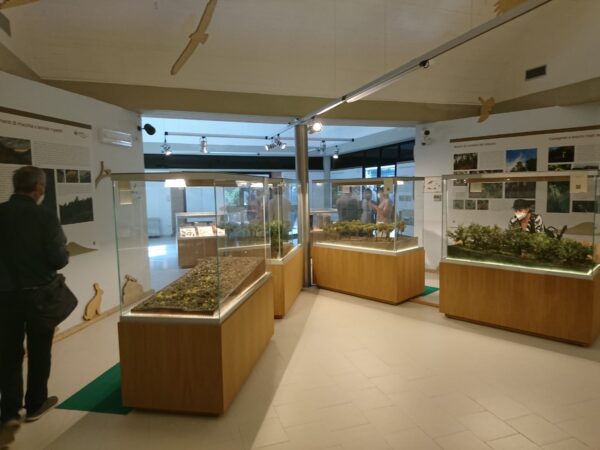 Museo Parco Nazionale Vesuvio