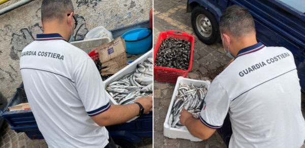 sequestro pesce ercolano