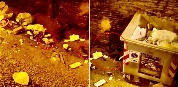 ratti topi piazza del plebiscito