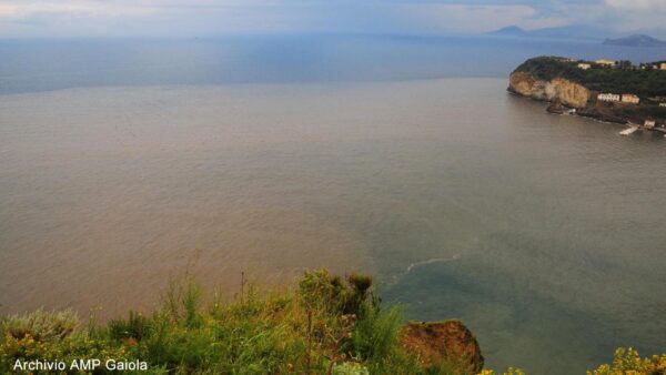 scarichi fognari gaiola 