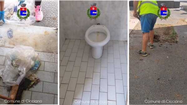 reddito cittadinanza cicciano