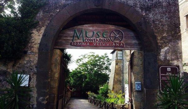 Museo della Civiltà Contadina