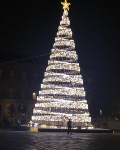 albero natale piazza plebiscito