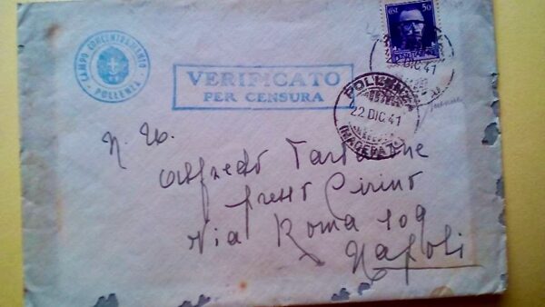 suzette tartarone (1)