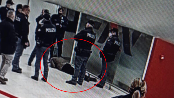 eav persona a terra (1)