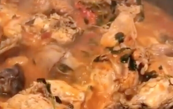 coniglio ischitana cnn